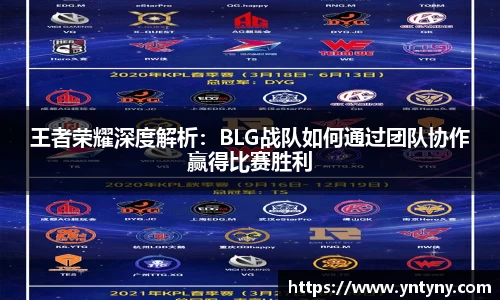 王者荣耀深度解析：BLG战队如何通过团队协作赢得比赛胜利