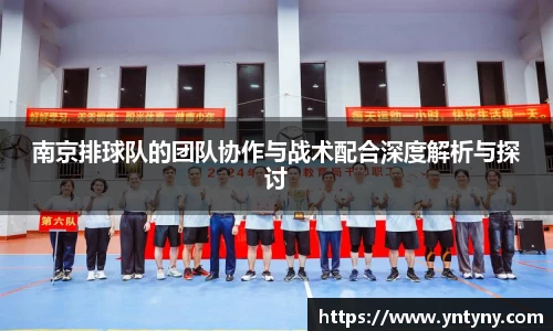 南京排球队的团队协作与战术配合深度解析与探讨
